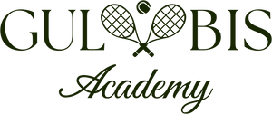 Gulbis Academy 